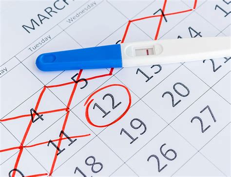 Ovulation When Is The Best Time To Get Pregnant