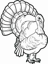 Coloring Turkey Pages Printable Kids Thanksgiving Print Drawing Head Online Color Cooked Realistic Fun Getcolorings Sheets Adult Filminspector Clipartmag Mpmschoolsupplies sketch template