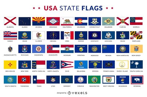 usa state flags collection vector