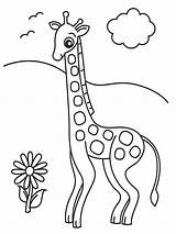 Giraffe Coloring Pages Animals Printable Drawing Kb Books sketch template