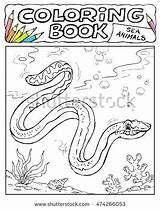 Snake Coloring Sea Color Pages Getdrawings Getcolorings sketch template