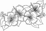 Coloring Flower Printable Pages Adults Flowers Color Adult sketch template