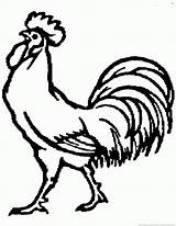 Rooster Coloring Cartoon Pages Drawing Head Part Clipart Getdrawings Library sketch template