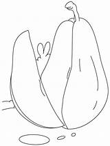 Pear Coloring Pages Getcolorings sketch template