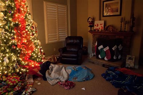 Thats Life Sleeping Under The Christmas Tree