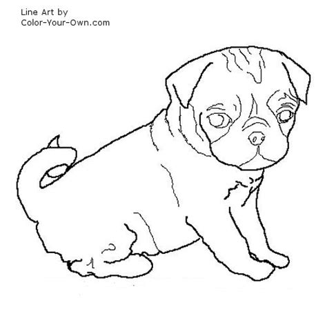 pug puppy coloring page