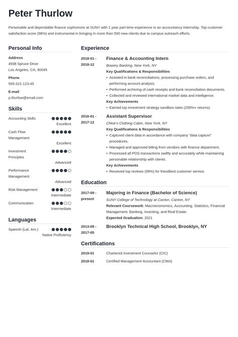 resume  internship template guide  examples