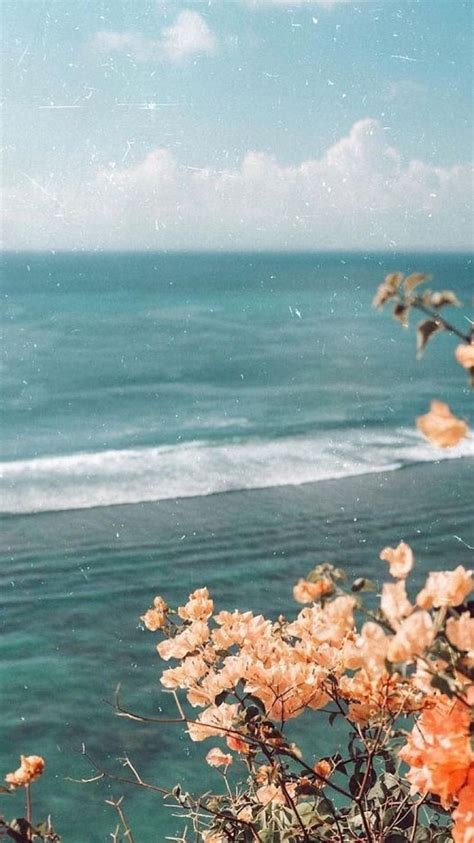 vintage aesthetic  aesthetic beach flower retro sea seaside