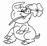 Pig Coloring Pages Clover Four Leaf Tom Brady Print Template Movie Little Color Sheets Piglet Big Pooh Printable Pigs Animal sketch template