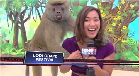 The Funniest News Bloopers Of 2013 You Ll Want To Send This To
