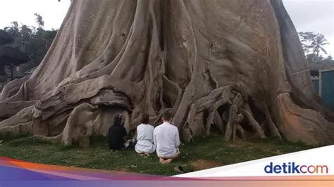 Bule Foto Bugil Di Pohon Besar Area Pura Di Bali Minta Maaf