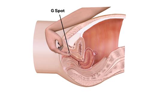 solo g spot orgasm your guide to solo vaginal and g spot