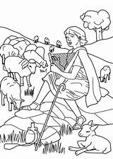 Ovejas Pastor Sheep Shepherd Cuidando Arpa sketch template