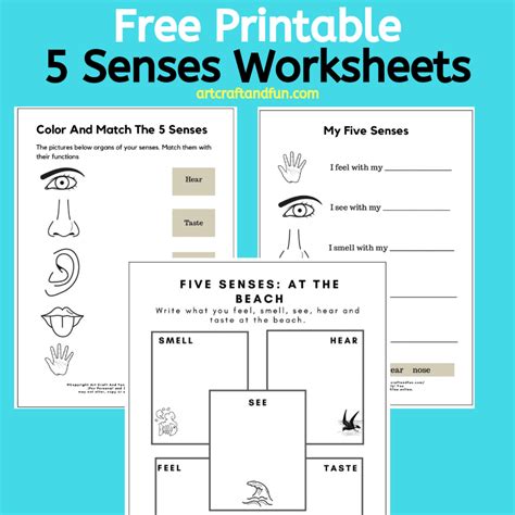 printable  senses worksheets