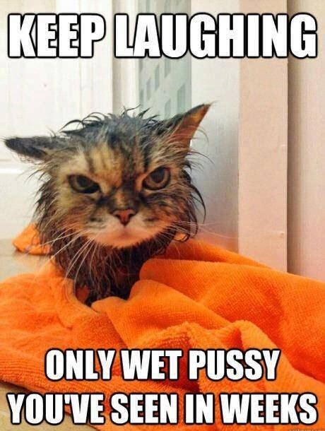 wet kitty meme guy
