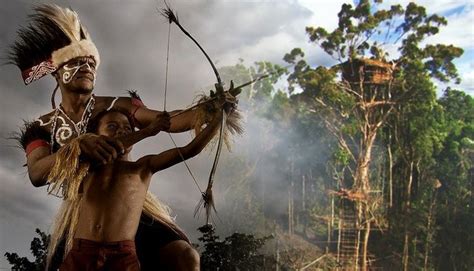 sejarah kebudayaan suku papua indephediacom