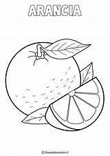 Arancia Frutta Invernale Disegno Schede Pianetabambini Stampare Invernali Didattiche Frutti Scuola Infanzia Agrumi Kiwi Pera Mela Ispirazione Estate Stagione Libretto sketch template