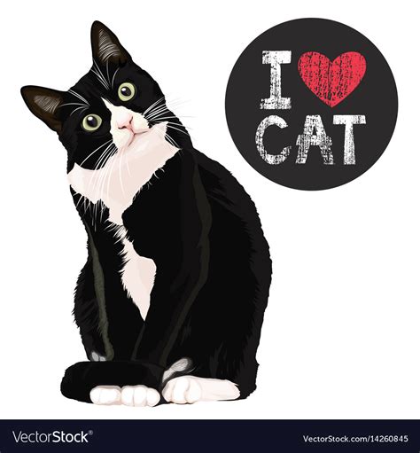 i love cat royalty free vector image vectorstock