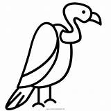 Buitre Colorear Vulture Abutre Desenho Leone Cinghiale Ultracoloringpages Clipartkey sketch template