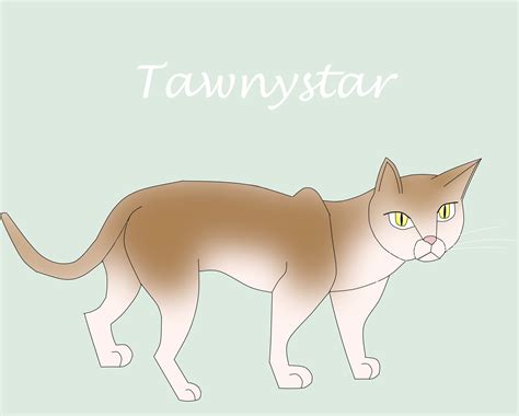 Tawnystar Warrior Cats Fan Characters Fan Art 15337113