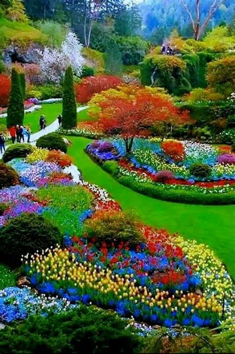 pin by bea on maha 5555 most beautiful gardens