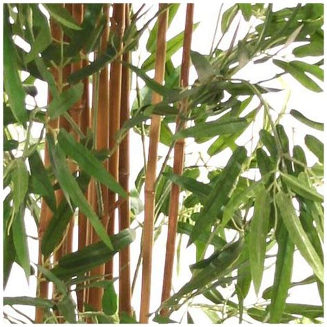 6ft japanese bamboo with natural stems artificial plants