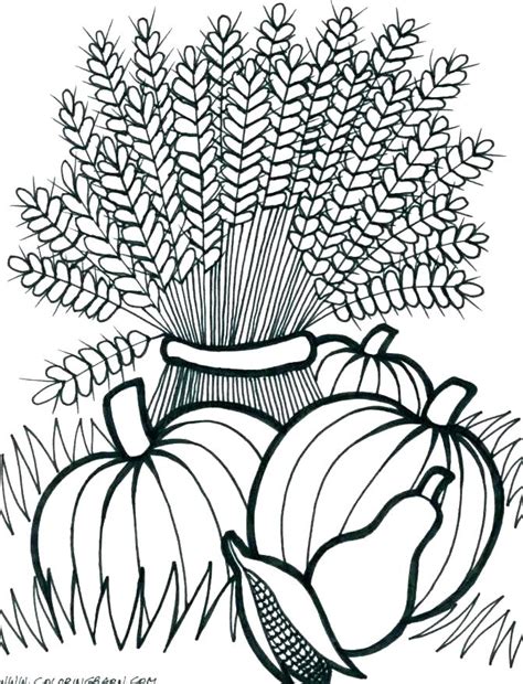 printable fall harvest coloring pages  getcoloringscom