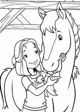 Cavalli Carrot Feeding Disegno Cavallo sketch template