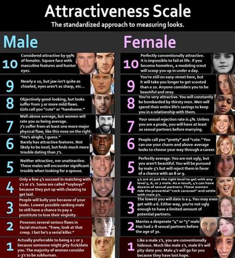 the best 16 incel attractiveness scale 1 10 female designpenbox