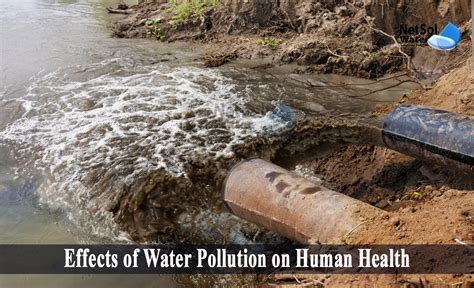 effects  water pollution  human health top