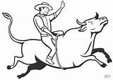 Bull Rodeo Bulls sketch template