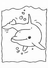 Ausmalbilder Delfine Mandala Delfin Ausmalen Kostenlos Gemerkt Von Zum Malvorlagen sketch template