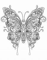 Coloriage Adulte Papillon Schwer Schmetterling Butterflies Mandalas Archivioclerici Animaux Adultos Intricate Imprimer Parfait Bestcoloringpagesforkids Malvorlagen Drucken Coloriages Malen sketch template