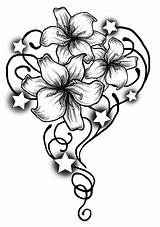 Tribal Flower Flowers Hawaiian Drawing Rose Hawaii Clipart Drawings Clip Draw Designs Butterfly Cliparts Getdrawings Clipartmag Clipartbest sketch template