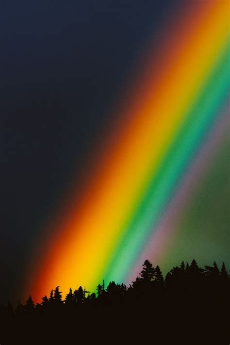 images  real rainbows  pinterest pictures  dodger