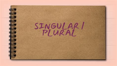singular plural