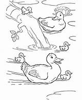 Canard Imprimez Gratuitement Lakes 1200artists Ducklings Duckling Canetons Patos Canards Kidsplaycolor Feo Patito sketch template