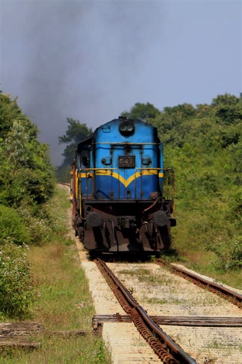train tours in sri lanka train journeys in sri lanka