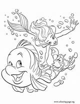 Coloring Flounder Mermaid Little Ariel Pages Sebastian Princess Colouring Scuba Diving Disney Printable Kids Fun Library Clipart Cartoons Books Popular sketch template