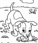 Puppy Coloring Pages Digging Husky Heart Dog Coloringpagesonly sketch template