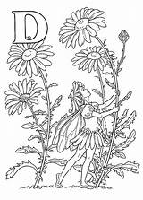 Coloring Pages Printable Fairy sketch template