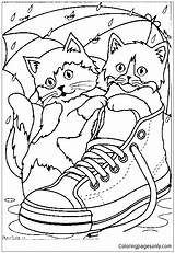 Pages Coloring Sneaker Cats Online Coloringpagesonly sketch template