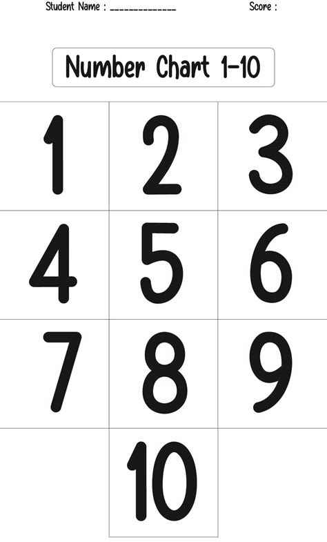 colored printable numbers   printables  numbers