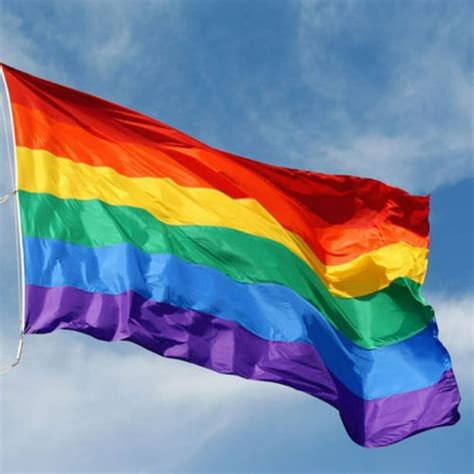 Gtp Rainbow Flag 3 X5 Ft Polyester Flag Gay Pride Lesbian Peace Lgbt
