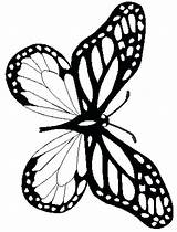 Monarch Coloring Getcolorings Butterfly sketch template