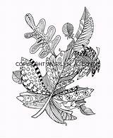 Designlooter Doodling Feathers sketch template