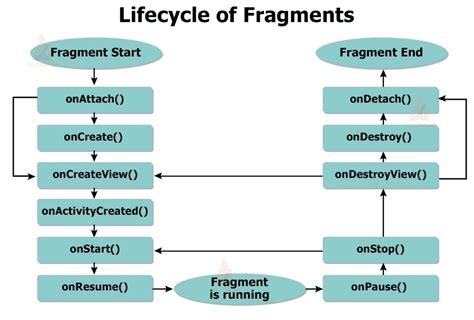 introduction  android fragment   lifecycle