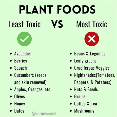 paul saladino md  instagram    toxic plant foods