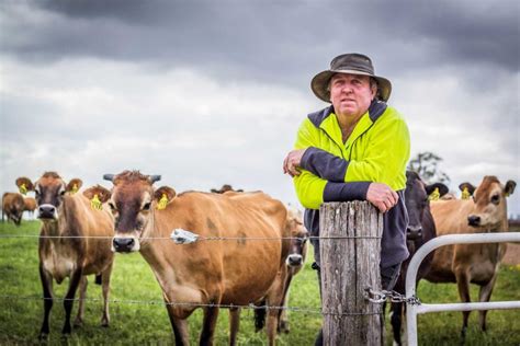vacy dairy farmer david williams abc news australian broadcasting corporation