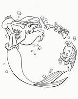 Coloring Ariel Flounder Popular Pages sketch template